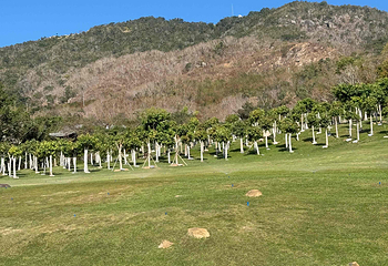 三亚南山文化旅游区第 187 张图片