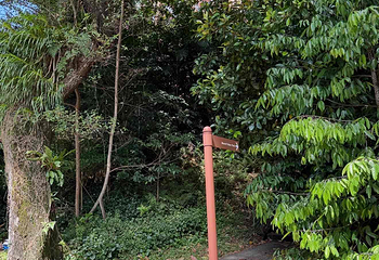 花柏山公园第 153 张图片