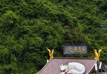 天门山国家森林公园第 382 张图片