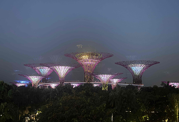 新加坡滨海湾花园第 496 张图片