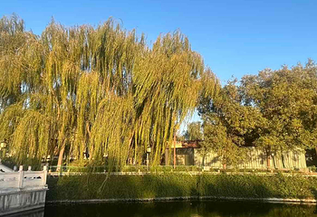 汉城湖景区第 78 张图片