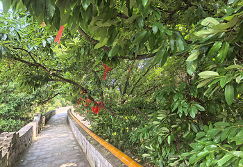 明显陵文化旅游景区第 42 张图片