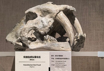 三峡移民博物馆第 62 张图片