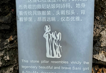 石林风景区第 219 张图片