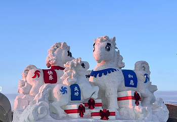 哈尔滨冰雪大世界第 226 张图片