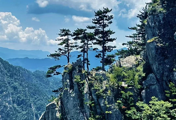 老界岭旅游度假区第 96 张图片