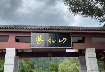 紫柏山国家森林公园第 22 张图片