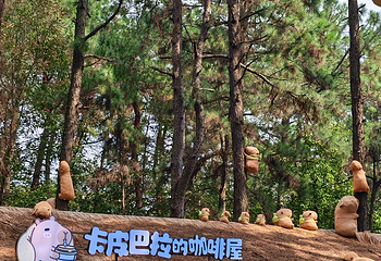 茅山森林世界第 148 张图片