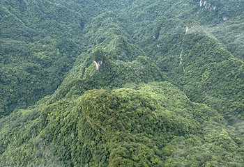 天门山国家森林公园第 508 张图片