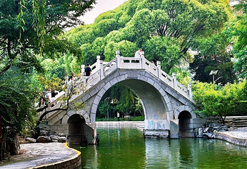 团结湖公园第 57 张图片