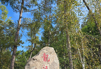 龙江第一湾风景区第 49 张图片