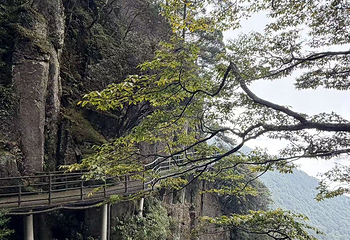 羊狮慕风景区第 67 张图片