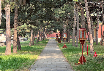 天坛公园第 342 张图片
