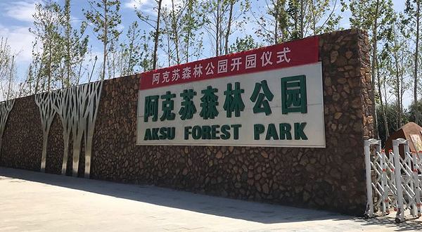 阿克苏森林公园
