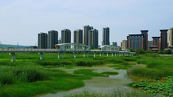 灞河东路湿地公园
