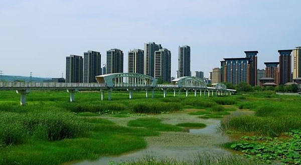 灞河东路湿地公园
