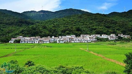 黄山头国家森林公园第 1 张图片