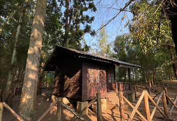 埃拉岩第 16 张图片