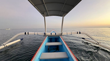 Lovina Dolphin Marine | Dolphin and Snorkeling