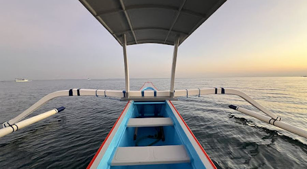 Lovina Dolphin Marine | Dolphin and Snorkeling