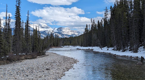 Bow River Loop Trail