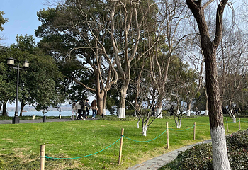 西湖风景名胜区第 341 张图片