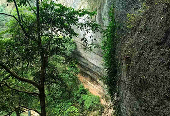 青城山第 317 张图片