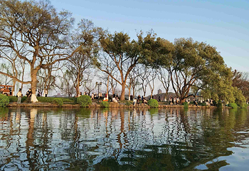 西湖风景名胜区第 296 张图片