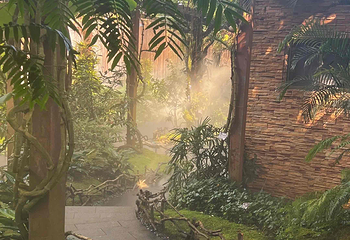 青秀山第 257 张图片