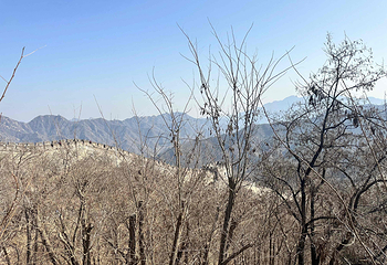 慕田峪长城第 207 张图片