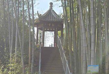 蜀南竹海第 47 张图片