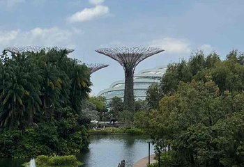 新加坡滨海湾花园第 210 张图片