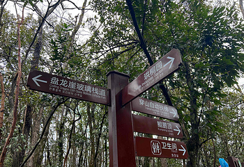 天门山国家森林公园第 395 张图片
