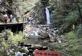醉山野景区第 63 张图片