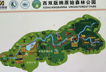 西双版纳原始森林公园第 50 张图片