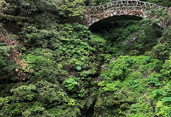 神农架风景区第 195 张图片