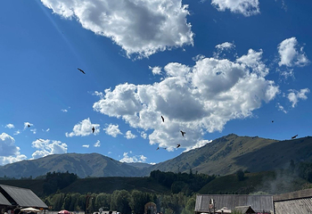 禾木风景区第 189 张图片