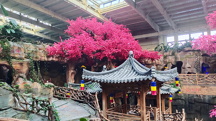 琵岩山温泉古村落第 38 张图片
