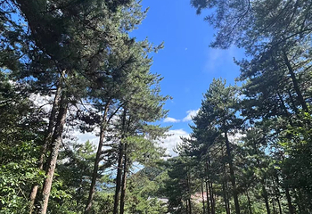 九华山风景区第 185 张图片