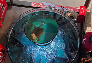 云澜湾温泉第 55 张图片