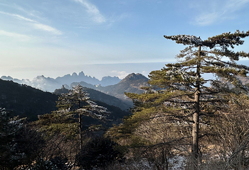 黄山风景区第 122 张图片