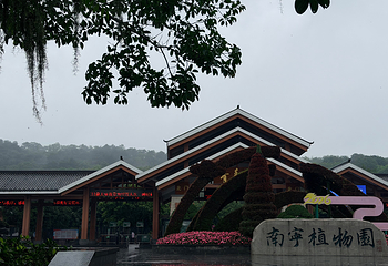 青秀山第 170 张图片