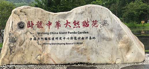 卧龙中华大熊猫苑神树坪基地第 46 张图片