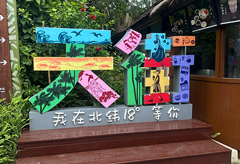 亚龙湾热带天堂森林公园第 240 张图片