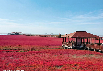 红海滩国家风景廊道第 112 张图片