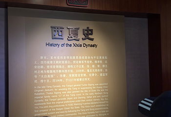 西夏陵第 516 张图片