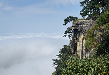 庐山风景名胜区第 101 张图片