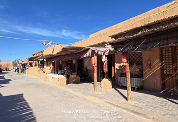 黑城弱水胡杨风景区第 62 张图片