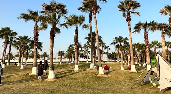 厦门十里长堤-露营地