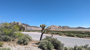 Tom Kelly's Bottle House